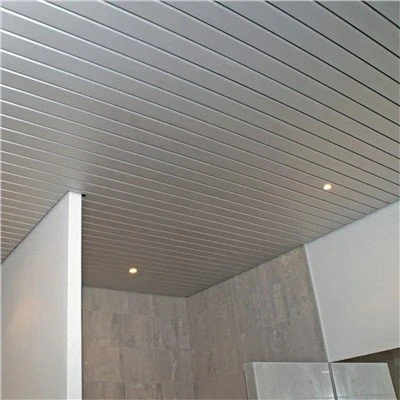Metalen lattenplafond